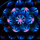 Image for article titled Refraction Shooting Challenge Gallery 2